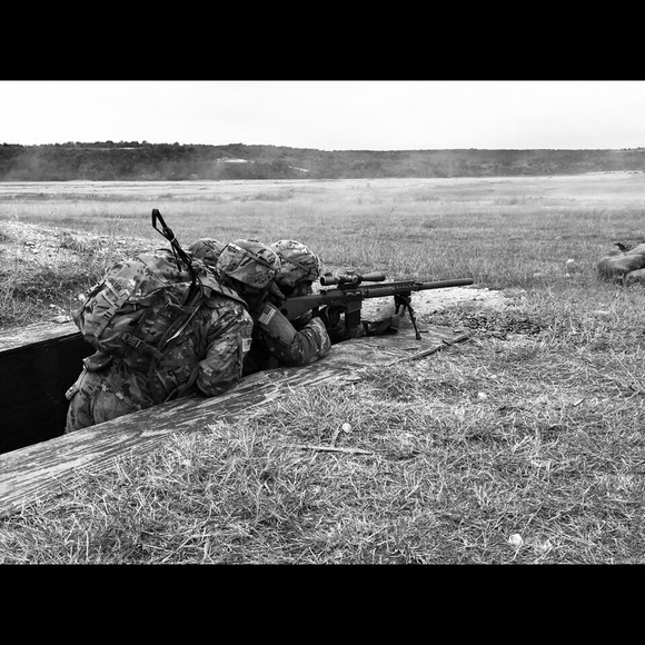 Meet your Posher, Archie - Picture 3 of 4